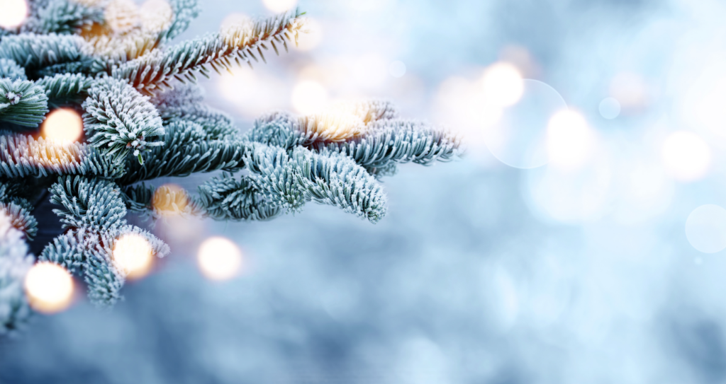 bannervorlage für beitragsbild bei wordpress (10)