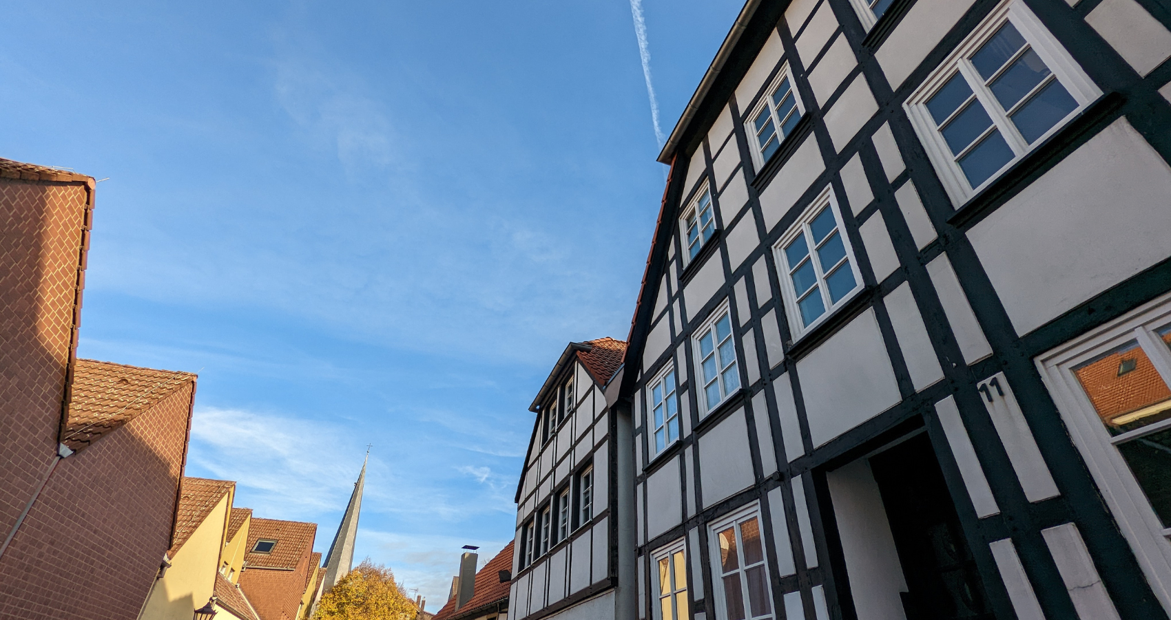 bannervorlage für beitragsbild bei wordpress (30)