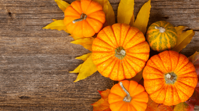 Herbstzauber in Schwerte – Verkaufsoffener Sonntag am 26. Oktober 2025