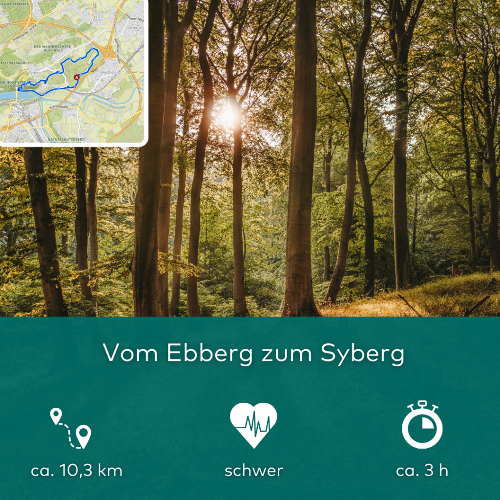 ebberg zum syberg