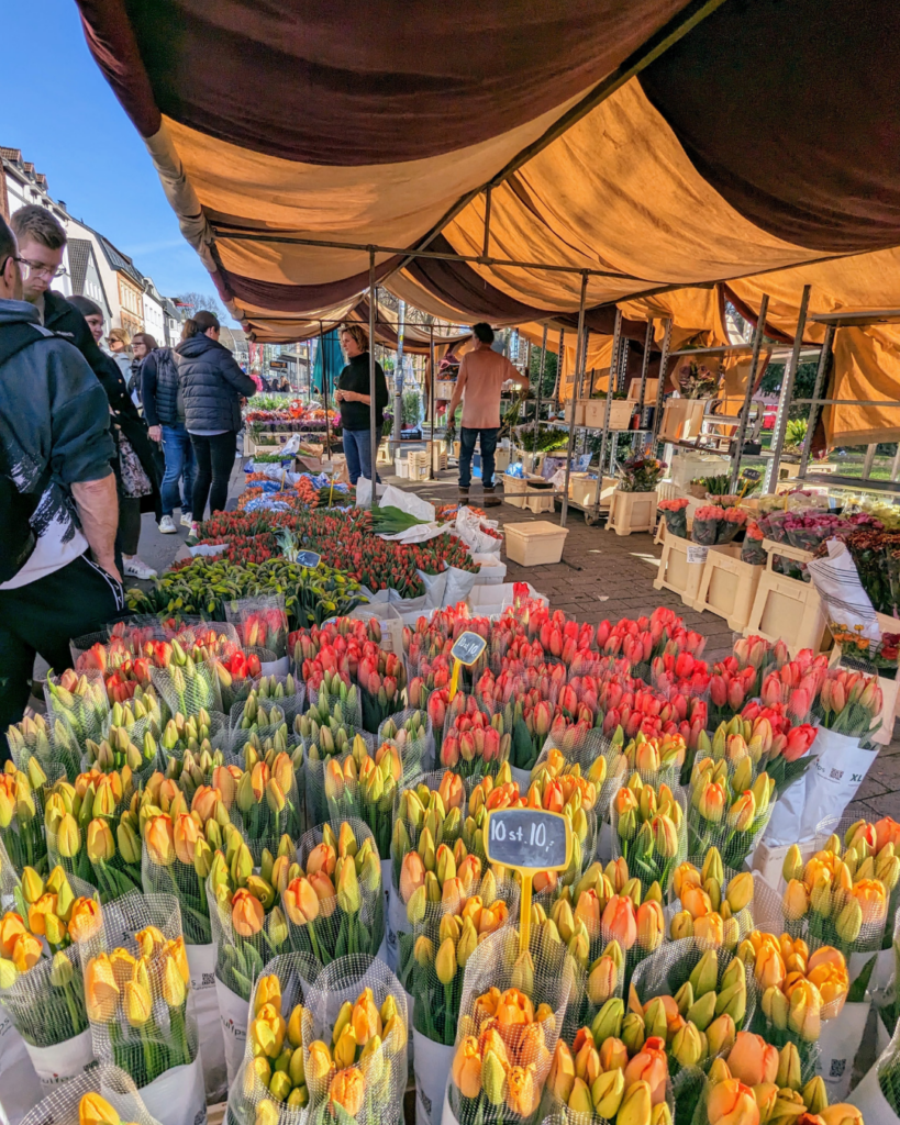 hollandmarkt 3