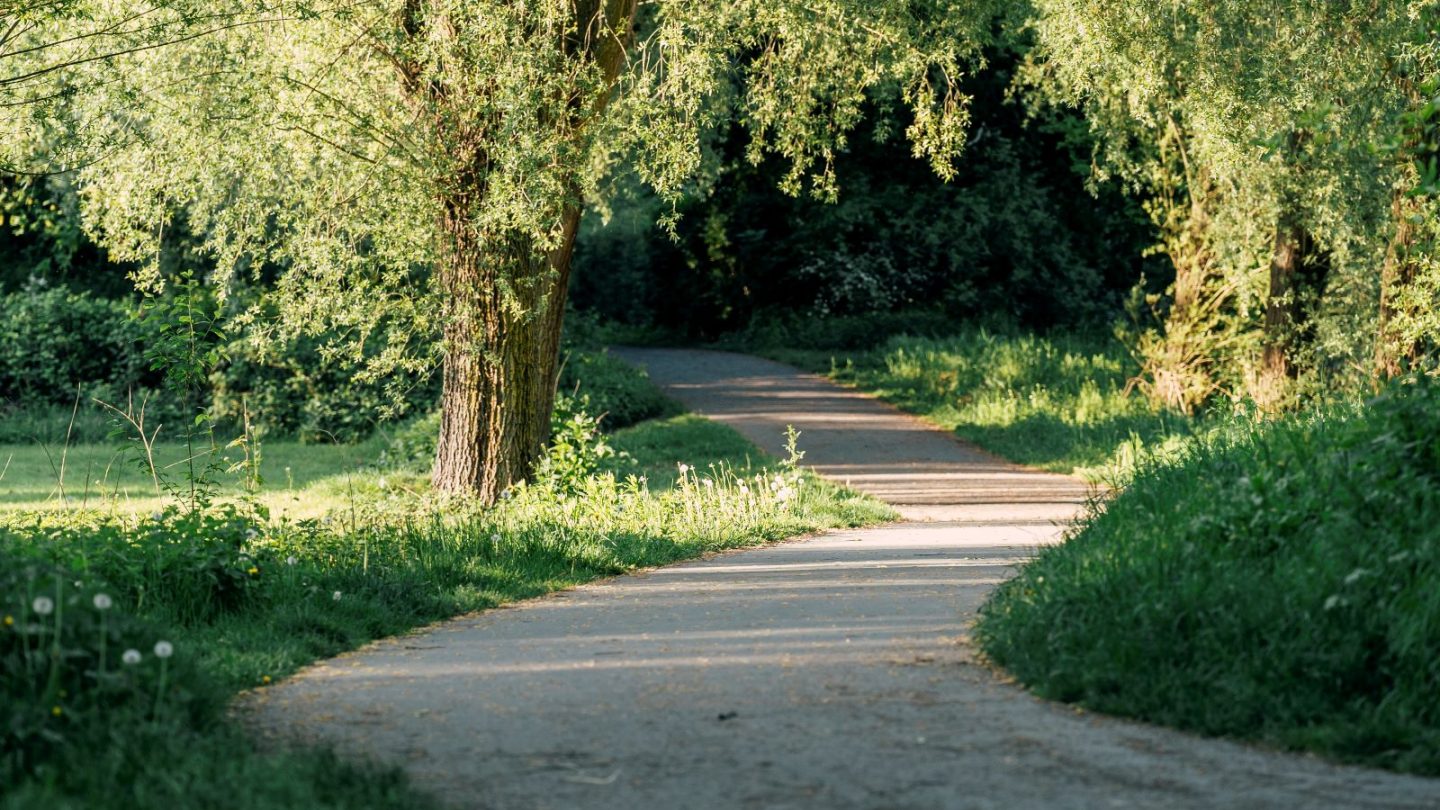 Schwerte Innenstadt 095 K