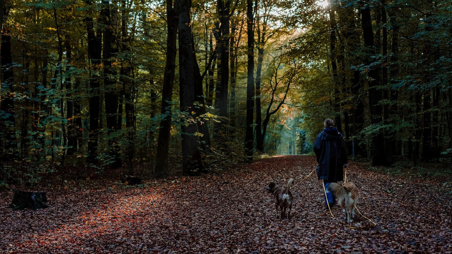 Stadtmarketing Schwerte Naturerlebnispfad 2