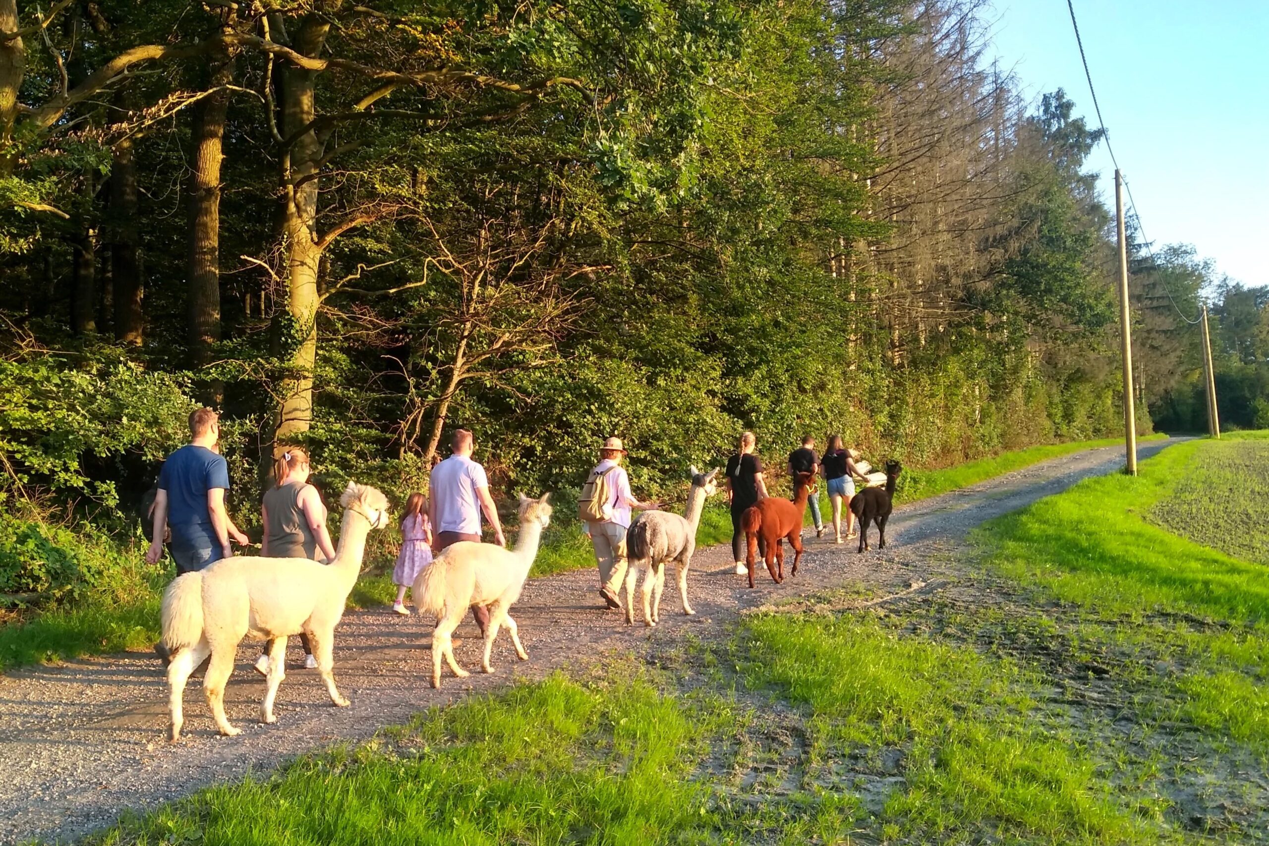wanderungen min