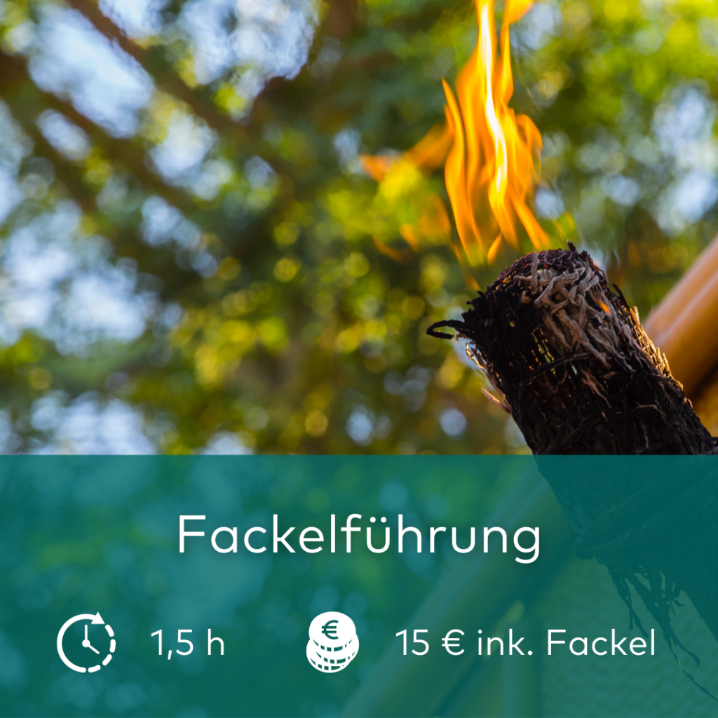 fackelfuehrung 1